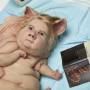 patricia_piccinini_teenage-metamorphosis-2016_a4_detail-1110x740.jpg