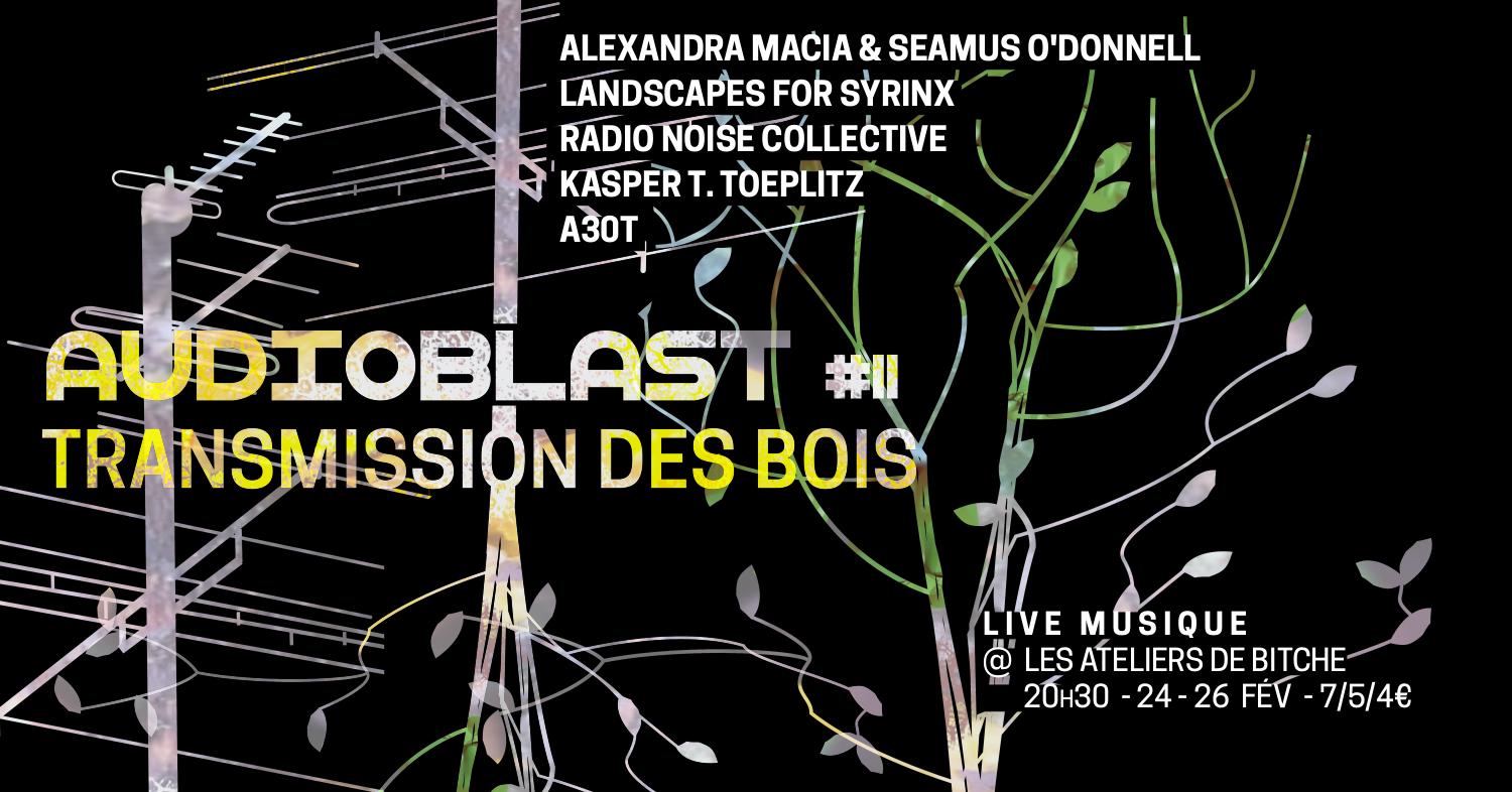 Festival Audioblast #11 – Nantes