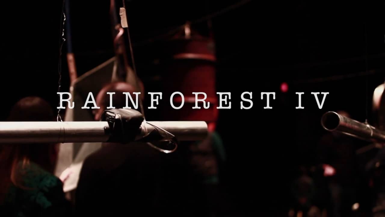 Rainforest IV – Quebec (2014)