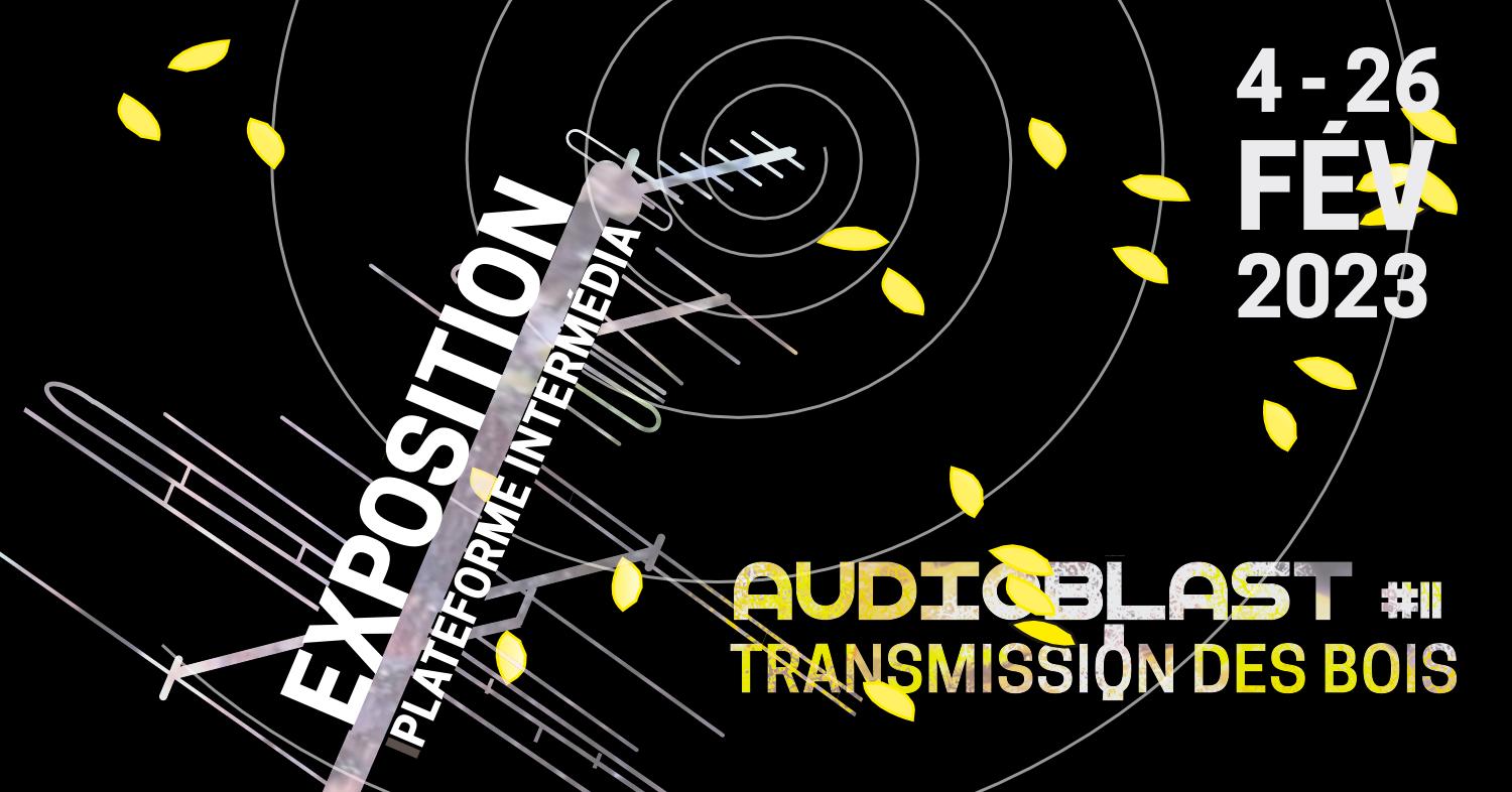 Audioblast 11 – Exposition : Transmission des bois – Spore radiophonique et plantation de statique