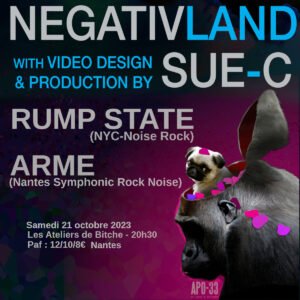 Filiason26 : Negativland / Sue-c / Rump State / ARME