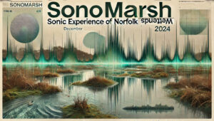 SONOMARSH : Expérience sonore des zones humides de Norfolk