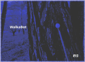 WalkaBot Pontevedra – Soundwalk-performance